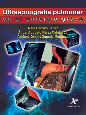 cover image of Ultrasonografía pulmonar en el enfermo grave